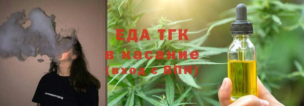 тгк Новозыбков