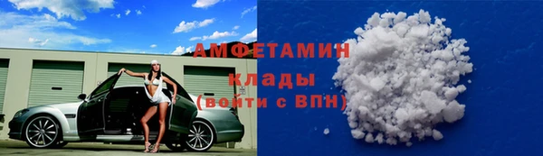 тгк Новозыбков
