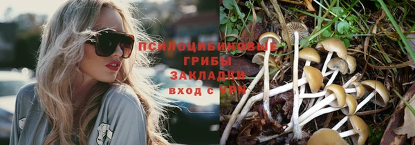 тгк Новозыбков