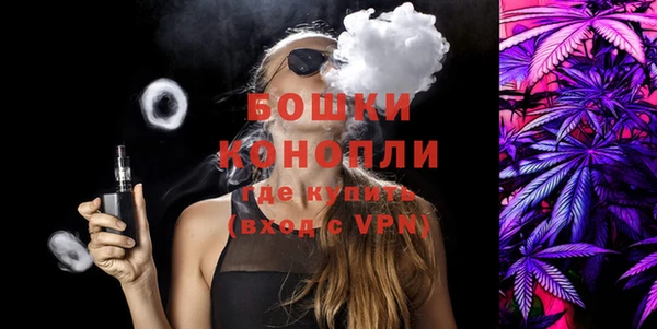 тгк Новозыбков