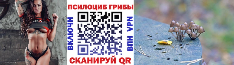 Псилоцибиновые грибы Magic Shrooms  Купить где  Кашин 