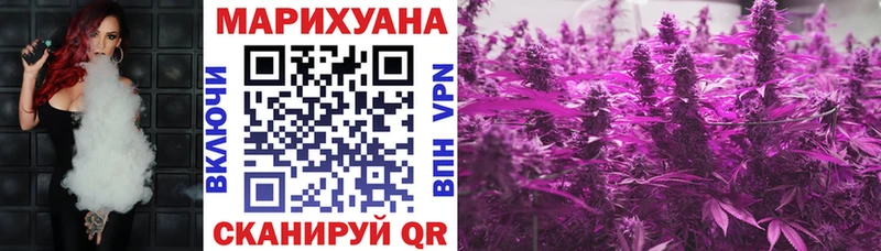 Конопля Amnesia  Купить  Кашин 